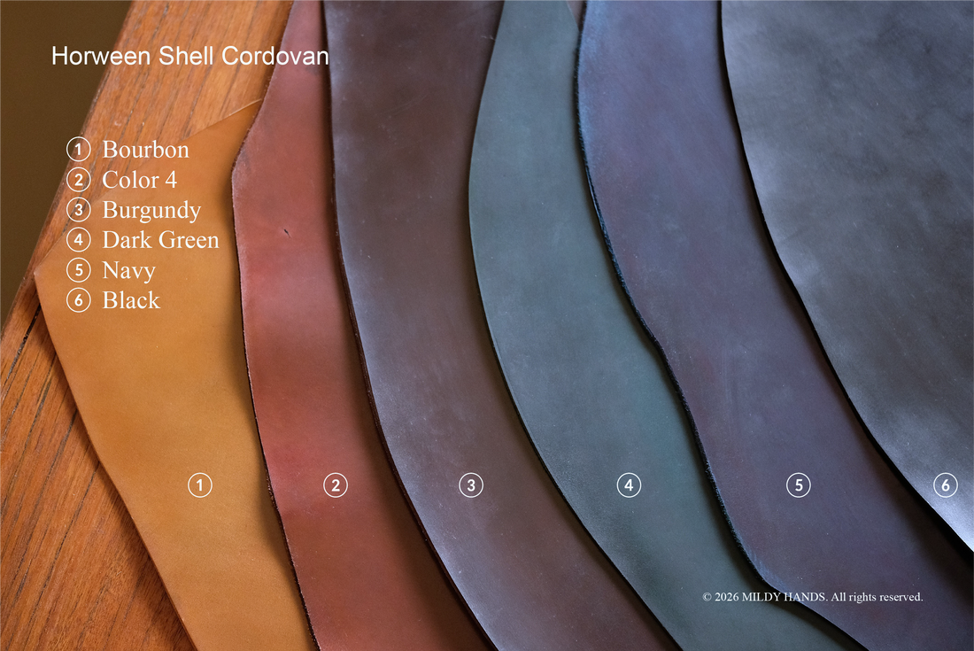 Leather & Colors