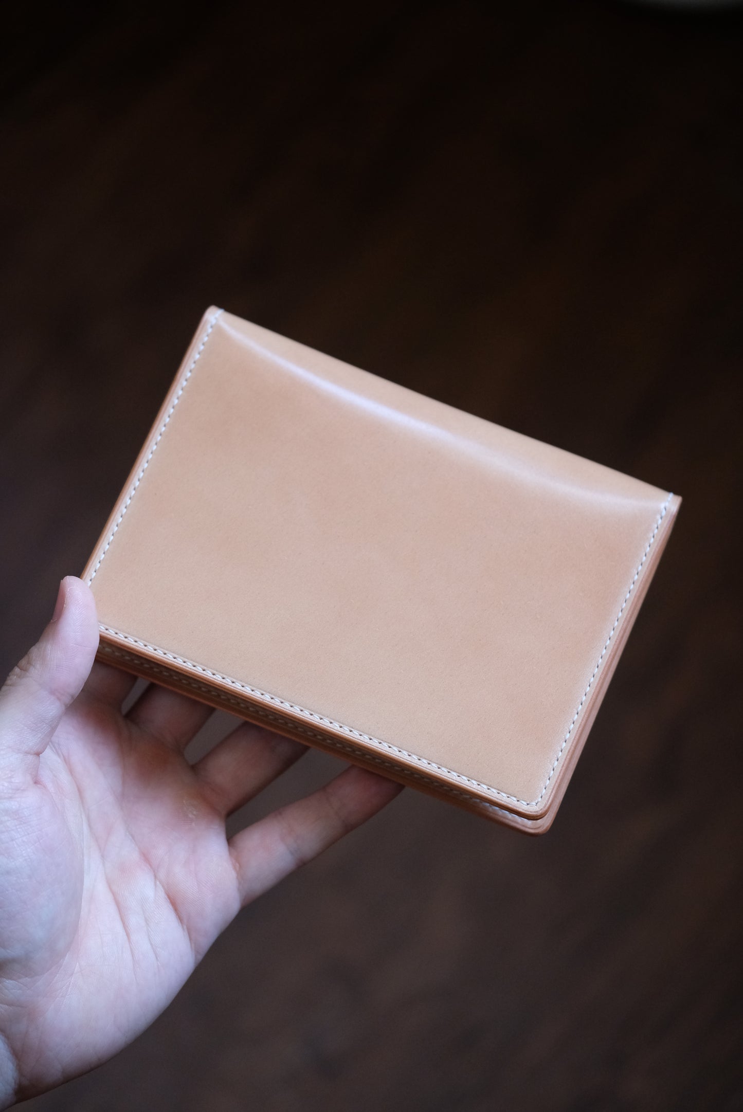 Passport Holder 01 — Shinki Hikaku Shell Cordovan
