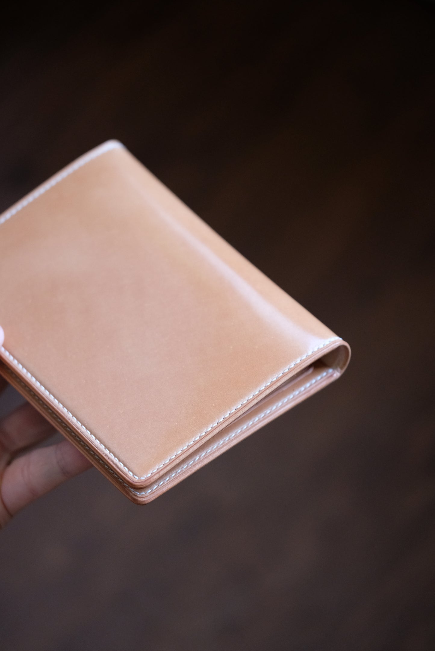 Passport Holder 01 — Shinki Hikaku Shell Cordovan